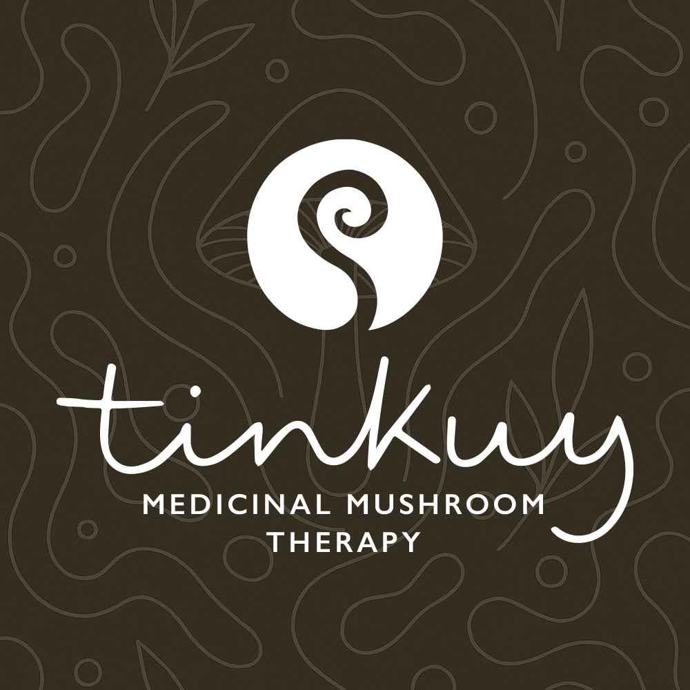 Tinkuy